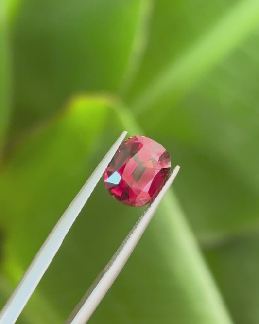 Red Garnet  4.91ct