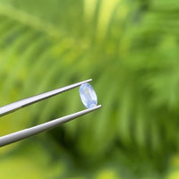 Baby blue milky Sapphire 0.79ct